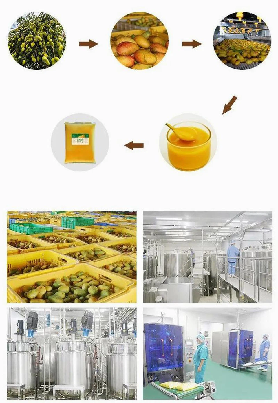 product-800-1160 product-800-1160