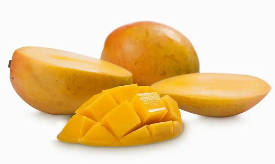 product-800-477 product-800-477